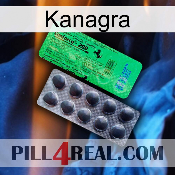 Kanagra new04.jpg